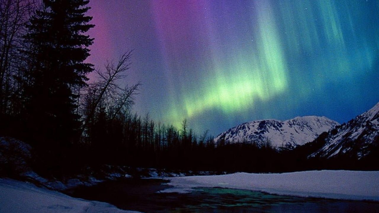 Aurora Boreal, Aurora Polar