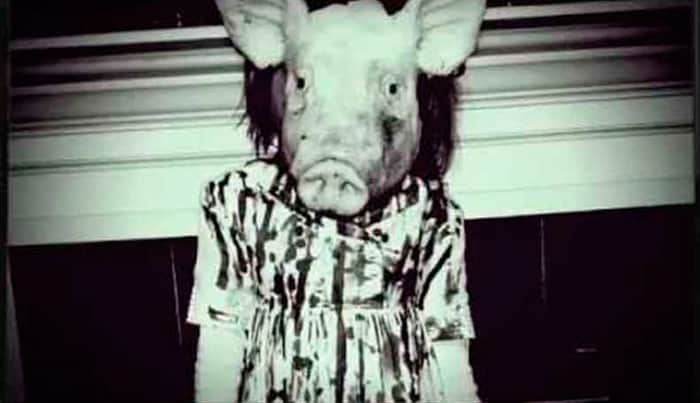 Peppa Pig - Son, Wiki Creepypasta Brasil