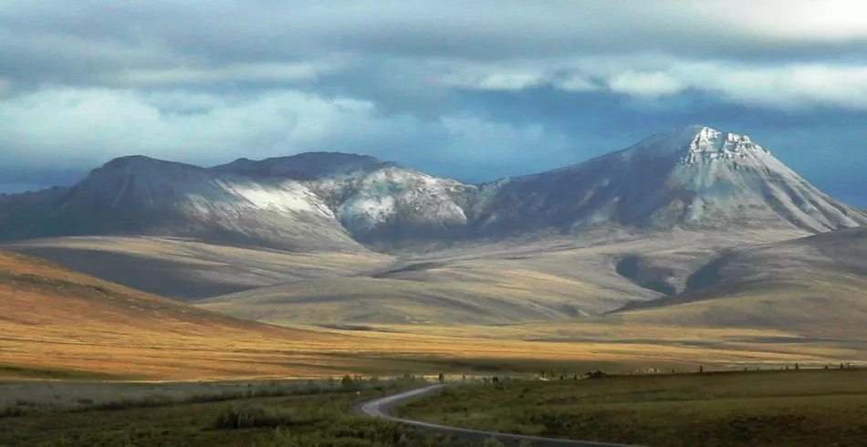 5 descobertas da Era Glacial feitas no permafrost de Yukon