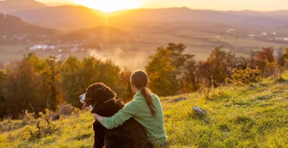 Quando exatamente os cães se tornaram nossos melhores amigos?