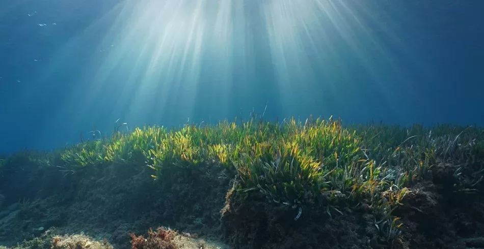 A ilha perdida: a valiosa terra submersa que fica perto do Brasil