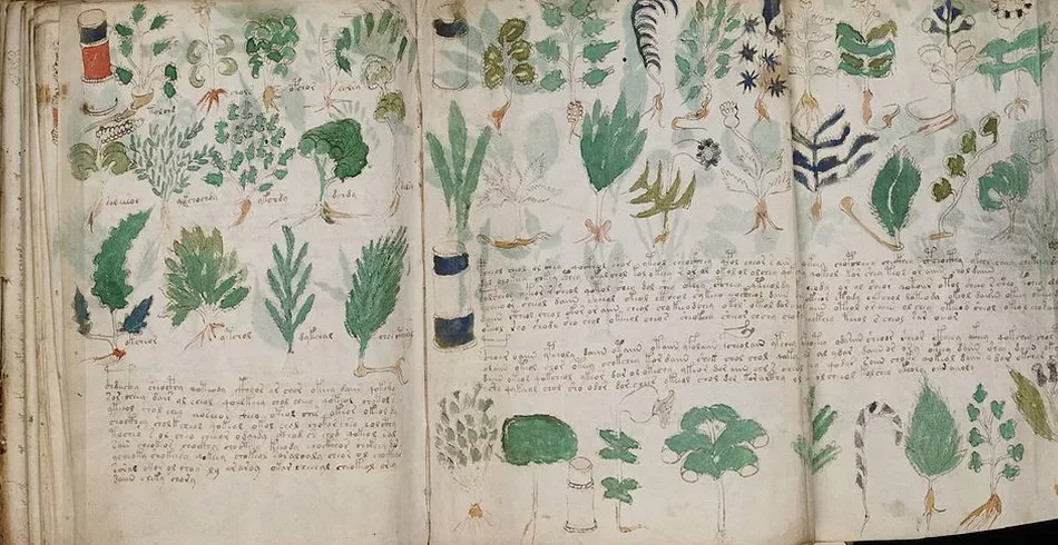 Manuscrito Voynich: uma jornada indecifrável pela história medieval